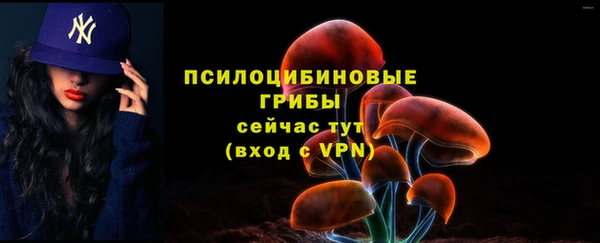 дживик Куйбышев