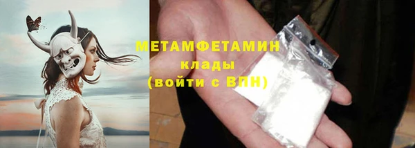 прущие грибы Краснотурьинск