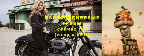 экстази Кукмор