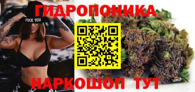 синтетический гашиш Новодвинск