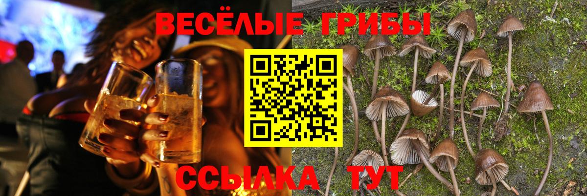 Псилоцибиновые грибы мицелий  Вход с VPN  Темрюк 