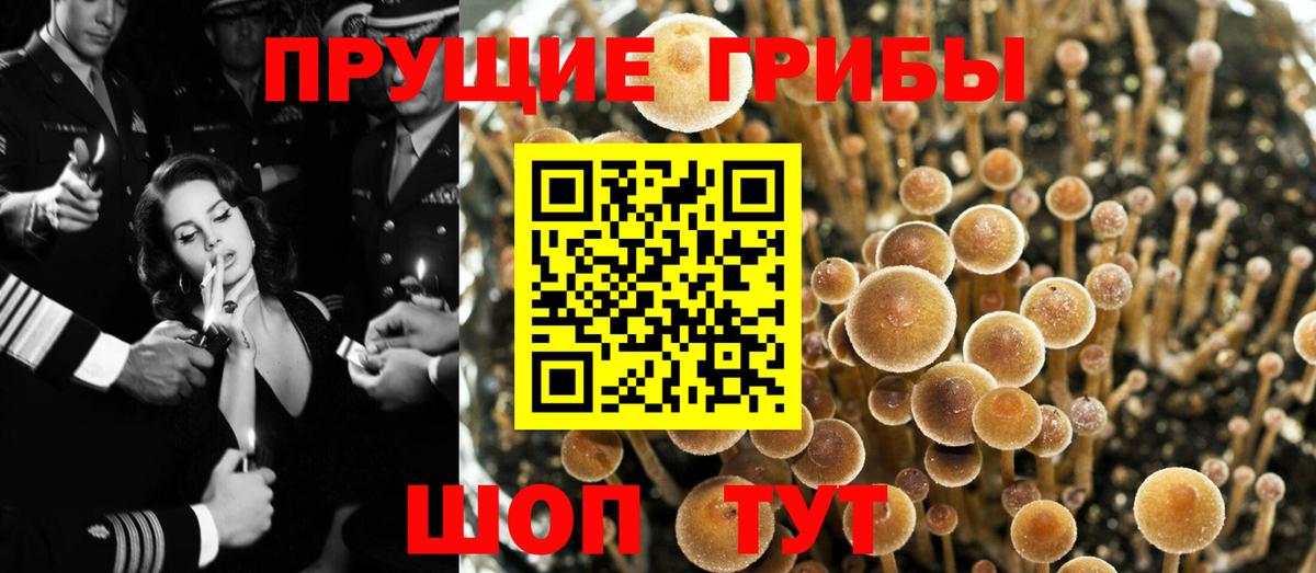 Псилоцибиновые грибы Magic Shrooms Темрюк