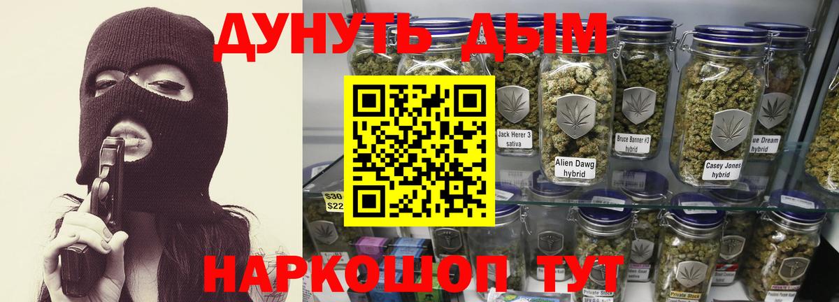Конопля OG Kush  Каннабис планчик  Канабис сатива  Темрюк  Шишки марихуана планчик 
